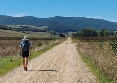 A hiker walking the Camino Trail on a gravel track with hills in the background.